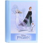 Markwins Disney Frozen II: Snow-Magic Book (1580364E)