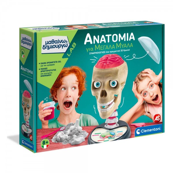 Ανατομία για Μεγάλα Μυαλά - Μαθαίνω & Δημιουργώ (63400)