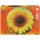 EDUCA ΠΑΖΛ 800τεμ. Sunflower 19034