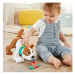 Fisher-Price Εκπαιδευτικό Σκυλάκι Μπουσουλάκι (HHH18)