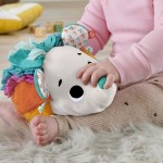 Fisher-Price Μαλακό Σκαντζοχοιράκι – Ουράνιο Τόξο (HBP42)