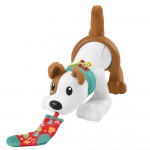 Fisher-Price Εκπαιδευτικό Σκυλάκι Μπουσουλάκι (HHH18)